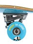 Enjoi Cool Blue Complete  8.0 x 31