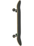 Enjoi Floyd Complete 7.7 x 30.7