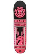 Element Appleyard Ferocity Deck  7.625 x 31.125