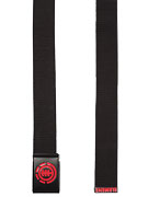 Element Anti Matter Belt