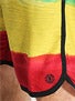 Element Au Naturale Eco Flex Boardshorts