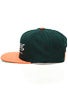 Element All Star Snapback Hat