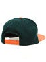 Element All Star Snapback Hat