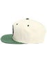 Element Ball Park Snap Back Hat