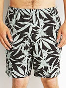 Element Hemp Collection Shorts