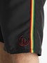 Element Highway Boardshorts