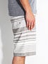 Element Lanner Shorts