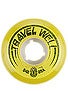 Element Travel Well Filmer Spinner Rasta 85a Wheels