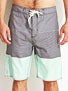 Element Zander Boardshorts