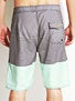 Element Zander Boardshorts