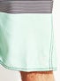 Element Zander Boardshorts