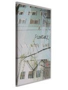 Floorwork DVD