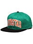 Fourstar Arched Starter Hat