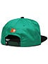 Fourstar Arched Starter Hat