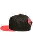 Fourstar Backside Snapback Hat