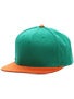 Fourstar Backside Snapback Hat