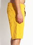 Fourstar Saberhagen Boardshorts