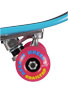 Girl Crailtap Complete  7.125x29.5