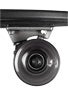 Globe Bantam Cruiser Complete  Black/Black/Clear Black