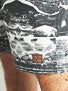Globe Dion Le Zan Boardshorts