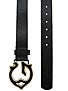 Globe Steinbrenner Belt