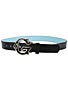 Globe Steinbrenner Belt