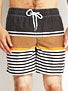 Globe Wylie Pool Shorts