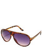 Happy Hour Beagle Houston's Shades  Tortoise/Purple