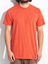 Hurley Staple Premium T-Shirt