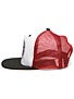 Independent Brian Anderson Skull Mesh Hat