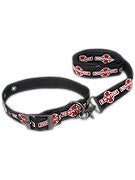 Independent Control Dog Collar & Leash Set