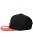 LRG Team Tree Snapback Hat
