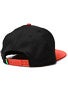 LRG Team Tree Snapback Hat