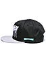 Mighty Healthy Madness Snapback Hat
