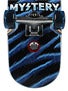 Mystery Zebra Cruiser Complete  7.75 x 27.75