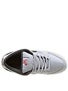 Nike SB Dunk Low Pro Shoes  Wolf Grey/Redwood
