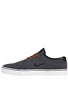 Nike SB Team Edition Shoes  Anthracite/Brown