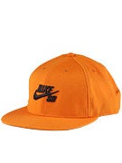 Nike SB Icon Fitted Hat