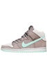 Nike SB Dunk High Pro Shoes  Soft Grey/Mint