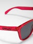 Oakley Acid Pink Frogskins Sunglasses