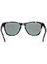 Oakley Acid Tortoise Black Frogskins Sunglasses