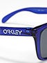 Oakley Crystal Blue Frogskins Sunglasses