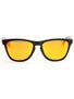 Oakley Matte Black Frogskins Sunglasses