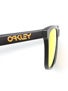 Oakley Matte Black Frogskins Sunglasses