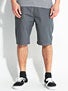 Plan B Sheckler Chino II Shorts