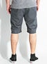 Plan B Sheckler Chino II Shorts