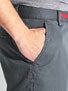Plan B Sheckler Chino II Shorts
