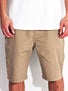 Plan B Sheckler Chino II Shorts