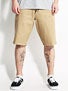 Plan B Sheckler Work Shorts