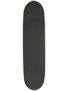 Plan B Sheckler Know Future Mini Complete 7.625 x 30.25